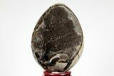 Septarian Dragon Egg Geode - Black Crystals #191506-2